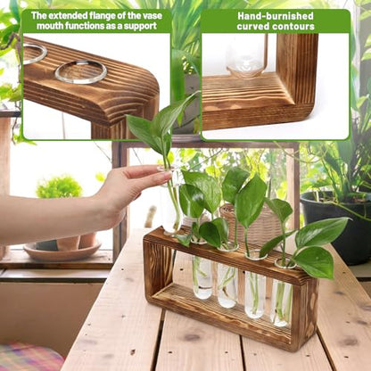 Glass Plant Propagation Station with 5 Test Tubes Planter Vase with Wooden | Stand Birthday Gifts for Women Mom Plant Lovers