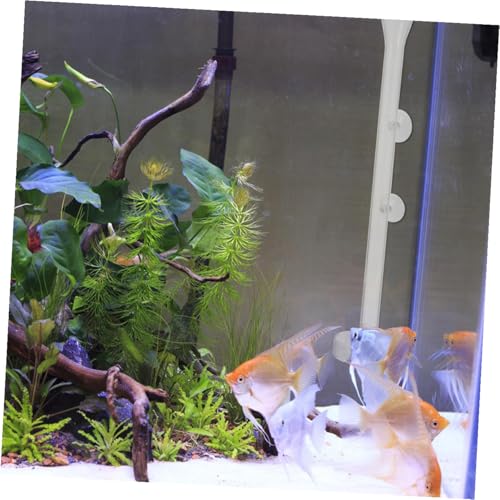 TOYANDONA Acrylic Fish Feeding Tube 2cm Diameter 50cm Length Aquarium Shrimp Feeder Tray Fish Tank Accessories Feeding Supplies