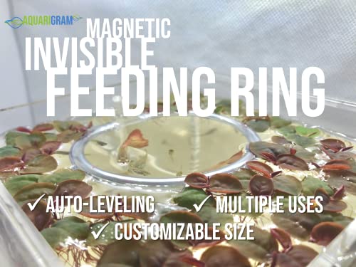 Magnetic Invisible Feeding Ring (Customizable and Auto-Leveling) Food Portal for Floating Plant Aquariums and Fish Tanks (Two-Pack)