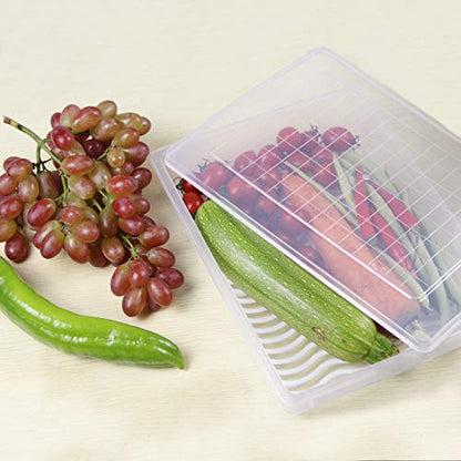 4PCS Food Storage Container, Plastic Food Containers Large | [With Removable Drain Plate and Lid], [Stackable Portable Freezer Storage Containers]-Tray to Keep Fruits, Vegetables, Meat - size: Large(4PCS)
