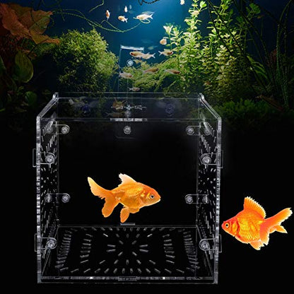 Fish Tank Breeding Box Aquarium Isolation Box High Transparency Adjustable Height Sturdy Acrylic Material for Fish Shrimp Isolation Transparent 15x15x15cm 30x15x15cm 20x20 (15CM*15CM*15CM)