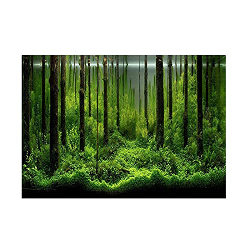 TITA-DONG Fish Tank Background, Forest Tank Aquarium Poster, Aquarium Background Picture, PVC Adhesive Underwater Forest Tank Background Poster Backdrop Decoration Paper(61 * 41cm) - size: 61*41cm