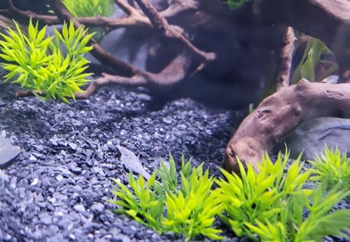 Small World Slate & Stone Aquarium Gravel - Natural Coarse Sand Substrate for Aquascaping Planted, Freshwater and Saltwater Tanks - Gravel Size Approx. 1/32" to 1/8" (6 lbs)