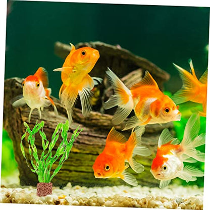 Water Plant Fixed Rings 10 Pack Durable Ceramic Aquarium Plant Holders for Fish Tank Aquatic Anchors Rings for Secure Decoration