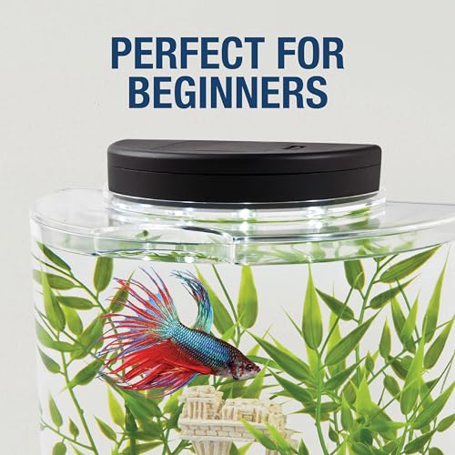 Tetra 1 Gallon Half Moon Small Fish Tank w/Movable LED Light, for Betta & Gold Fish, Aquarium | (Pack of 3) - size: 9"W,10.5"H,4.5"D (Pack of 3)