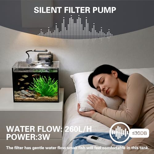 2.5 Gallon Nano Aquarium Kit, Glass Small Fish Tank Starter Kit with Light, Filter, Gravel Rock,Lid. Ultra Clear Rimless Desktop Fish Tank for Small Fish,Betta,Shrimp.Complete Version, Black