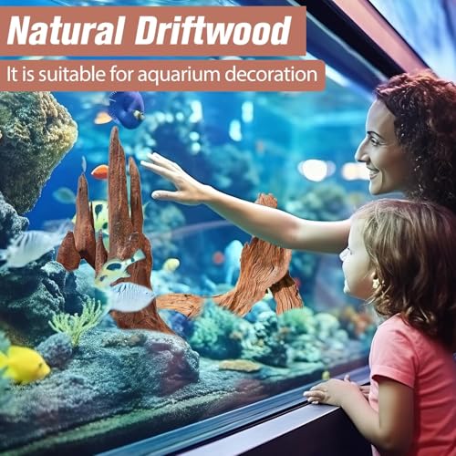 3-Piece 7-11 Inches Natural Aquarium Driftwood Decorations - Aquascape Decor for Fish Tanks, Betta Hideouts, Reptile Enclosures & Plant Attachment - size: Mopani Driftwood 7-11" (Pack of 3)