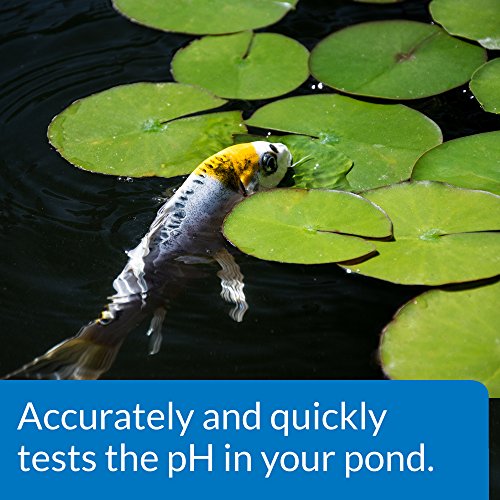 API POND WIDE RANGE pH TEST KIT 160-Test Pond Water Test Kit - style: pH Test Kit