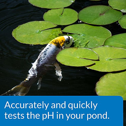 API POND WIDE RANGE pH TEST KIT 160-Test Pond Water Test Kit - style: pH Test Kit