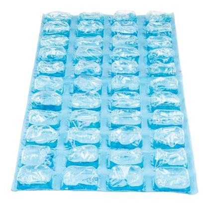 Igloo Maxcold Ice Block - color: Cube