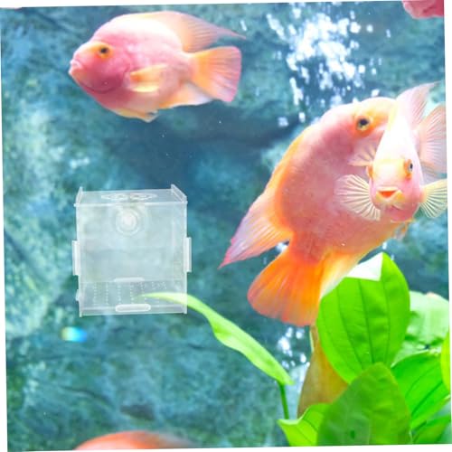 VICASKY Acrylic Fish Breeding Box Isolation Tank for Small Fish and Shrimp Aquarium Hatchery Incubator Cups Compact and Versatile Divider for Optimal Breeding Environment