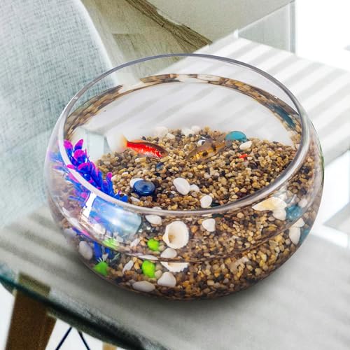 5 lbs Aquarium Gravel, 2-4mm Fish Tank Gravel, Succulent Cactus Pea Gravel for Indoor Plants, River Rocks for Gardening, Flower Pots, Vase Fillers, Garden Landscaping - size: 2-4mm