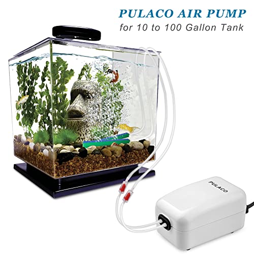 Dual Outlet Aquarium Air Pump, Quiet Oxygen Pump with Accessories for 10 to 100 Gallon