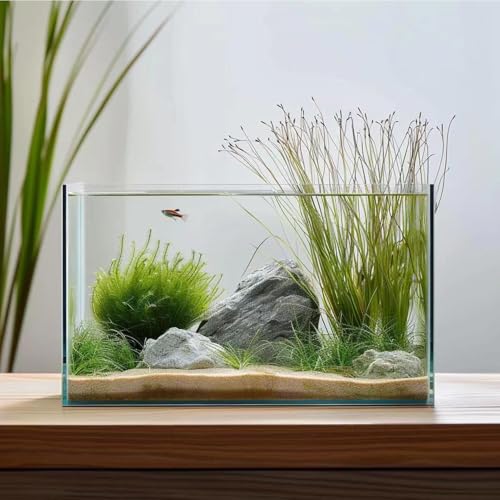 Vimvins 3 Gallon Glass Fish Tank, Easy to Maintain Small Aquarium for Betta/Goldfish/Snails/Shrimp and Aquatic Planting. - size: 3 Gallon
