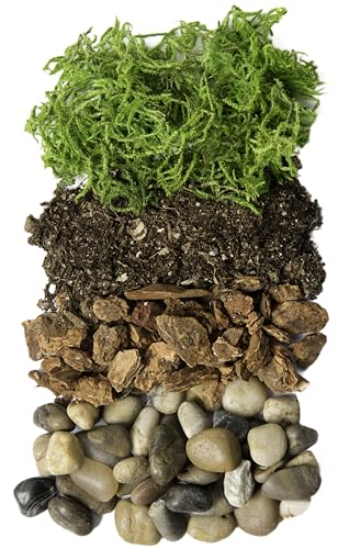 Portland Terrarium kit - DIY Mason Jar Terrarium Kit - color: Clear