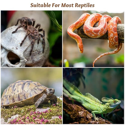 6Pcs Plastic Reptile Tank Lid Locks - Secure Adhesive Escape Prevention Clips for 10 40-120 Gallon Terrarium, Snake, Turtle, Gecko, Lizard Enclosure, Fish Tank Aquarium Lid Latches, Mesh Scree