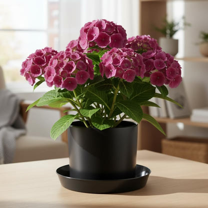 21in Plant Saucer, Black, Case of 2 | Polypropylene, Heavy Duty Indoor/Outdoor, Drip Pan & Tray, Collects Excess Water, Made in USA - size: 21" (19" base)