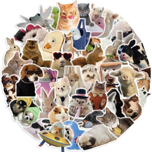 50Pieces Cat Dog Meme Stickers, Funny Animal Transparent PET Sticker Self-Adhesive Scrapbooking Stickers Supplies Journal Stocking Stuffers for Kid Adult Card Making Letters DIY (CDMEME-PET) - color: Cdmeme-pet
