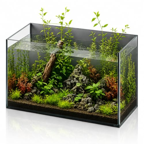6 Gallon Glass Fish Tank 5 Gallon, Smokey Dark Backgroud Small Aquarium Fish Bowl Cube for Betta Goldfish Snails Shrimp Aquatic Planting, Easy to Maintain Ultra Clear Rimless Design Low Iron - color: Dark Background, size: 5 Gallon