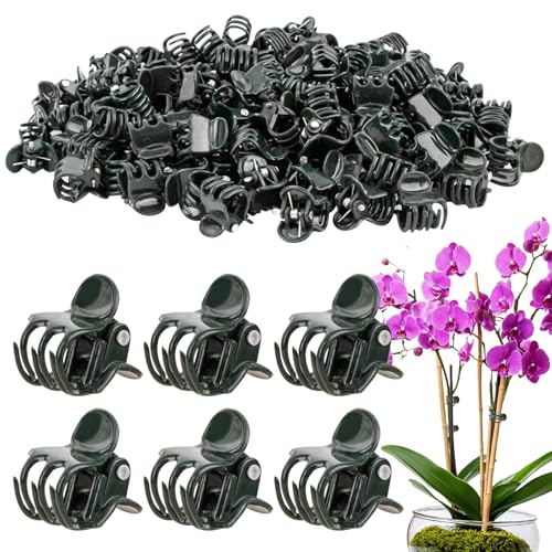 RAINFLOW 200 PCS Plant Clips - Orchid Clips for Vines, Stakes and Trellises | Small Plant Support Clips for Orchids, Climbing Vines, Flower Stems, Indoor Plants, Stakes and Trellises