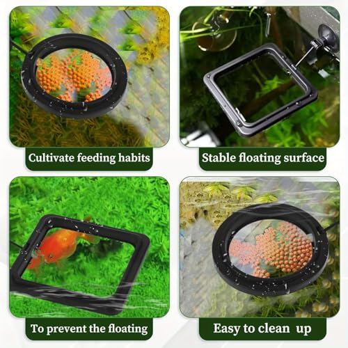 2PCS Fish Aquarium Feeding Ring Aquarium Feeding Ring Fish Tank Station Floating Food Tray Feeder Square Circle Accessories Foods Feeder with Suction Cup（Black）