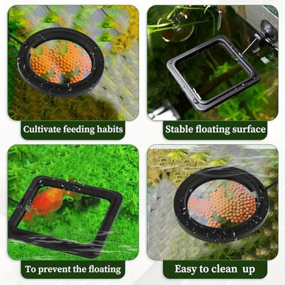 2PCS Fish Aquarium Feeding Ring Aquarium Feeding Ring Fish Tank Station Floating Food Tray Feeder Square Circle Accessories Foods Feeder with Suction Cup（Black）