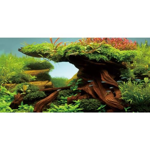 AWERT 48x18 inches Wood Fish Tank Background Seaweed Aquarium Background River Bed & Lake Aquarium Background Vinyl Background - size: 48x18in/120x45cm