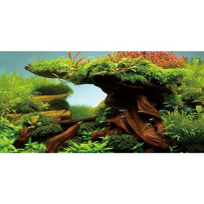 AWERT 48x18 inches Wood Fish Tank Background Seaweed Aquarium Background River Bed & Lake Aquarium Background Vinyl Background - size: 48x18in/120x45cm