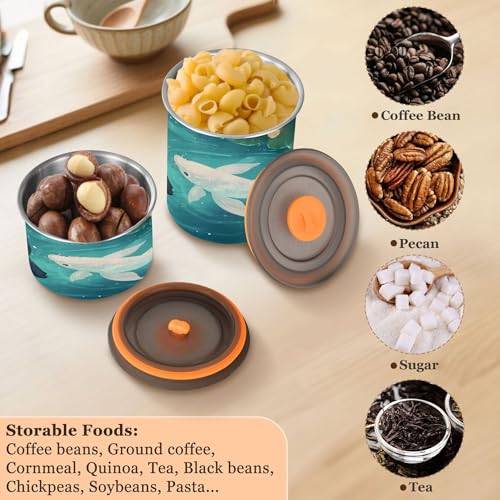 Kigai Fish Food Storage Container with Lids Airtight, Leak-Proof Stainless Steel Storage Canister for Coffee Sugar Tea, 900 ML/30.5 oz