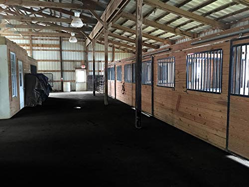 American Floor Mats - Heavy Duty Stall Tiles - Stable/Horse Tiles - Thick, Durable Rubber Flooring Solid Black 1 Corner Tile 3/4" Thick - size: 24"L x 24"W x 0.8"Th