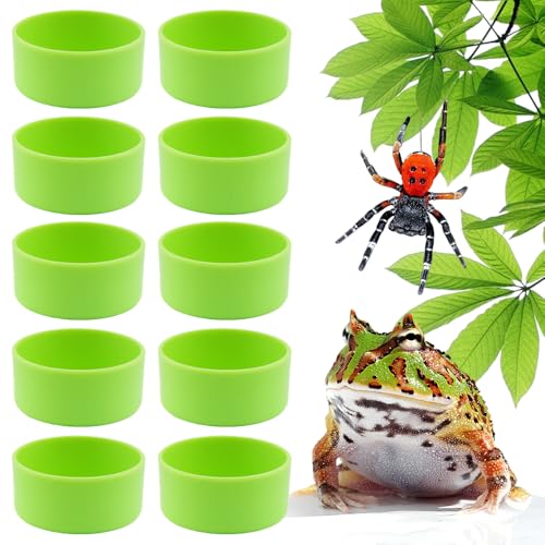 10 Pcs Tarantula Micro Water Bowl Small Reptile Food Dish Feeding Bowl for Spider Gecko Lizard Horned Frog Turtle (Green)