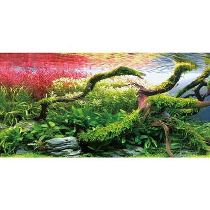 AWERT 36x20 inches Branches Fish Tank Background Stone Seaweed Aquarium Background River Bed & Lake Aquarium Background Vinyl Background - size: 36x20in/90x50cm