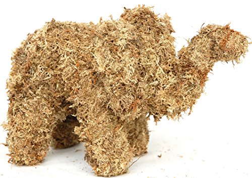 Elephant Sphagnum Moss Topiary Form - Baby
