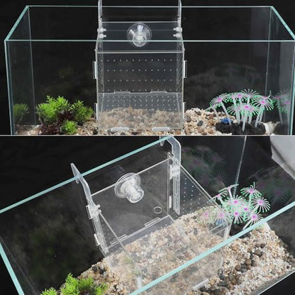 Fish Breeder Box for Fish Tank, Acrylic Fish Tank Divider, Easy to Install, 5.91"x5.91"x5.91", Clear, 1 Set - size: 5.91"x5.91"x5.91"