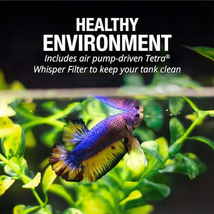 Tetra Bubbling LED 1 Gallon Starter Fish Tank Kit For Freshwater Fish - size: 1 Gallon