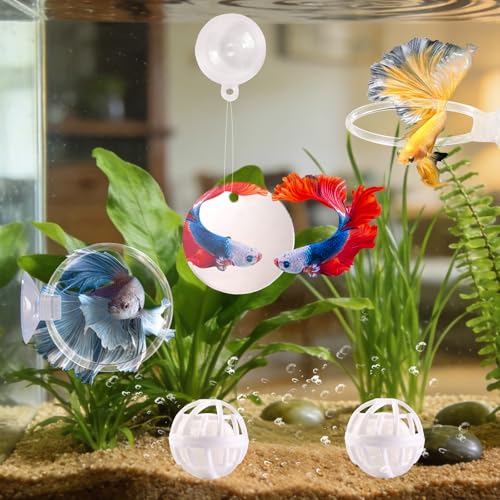 Betta Fish Toys, 2 PCS Fish Exercise Ring and Nitrifying Balls Set, Betta Mirror Toy Set, Feeding Ring with Suction Cup, Fishing Tank Accessories for Gifts (Clear) - color: Clear