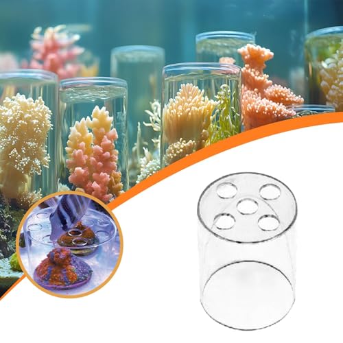 Coral Feeder Cover,Coral Feeding Breeding Protection Cover, Anti Predation for Aquarium Transparent,Protector Guard, S - size: S