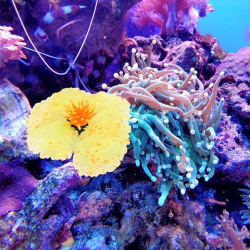 Artificial Water Grass Aquarium Decor Silicone Fish Tank Plant Ornament Lifelike Aquatic Landscape Decoration Lightweight Yellow Micro Landscape for Betta Fish and Aquariums
