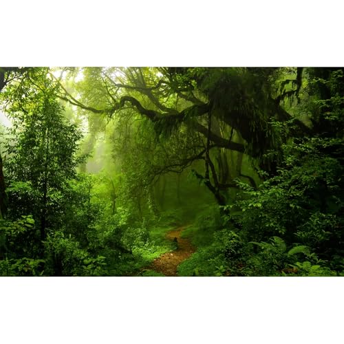 Tropical Rainforest Aquarium Background Lush Green Jungle Dense Trees Plants Fish Tank Background Majestic Serene Deep Forest Terrarium Backgrounds Foggy Woodland Reptile Tank Backgrounds 24x12in - color: Dark Green, size: 24(W)x12(H)in