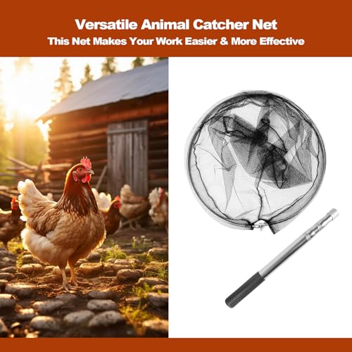 Animal Catcher Net, Chicken Catching Net for Poultry Supplies, Extendable 72" Made of Stainless Steel Fishing net Catcher for Catching Small Duck, Geese, Bird, Bat, Chickens, cat, Poultry