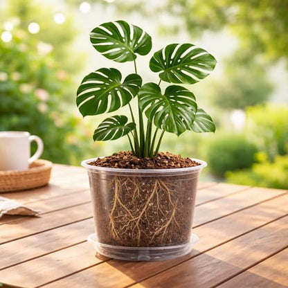 Bluepro Clear Nursery Pots with Saucers, 8 Inch, 8-Pack | Clear PET, Drainage Holes, Root and Moisture Visibility, Flexible, Reusable, Indoor/Outdoor Use, Propagation and Repotting - size: 8 Inch-8Pcs