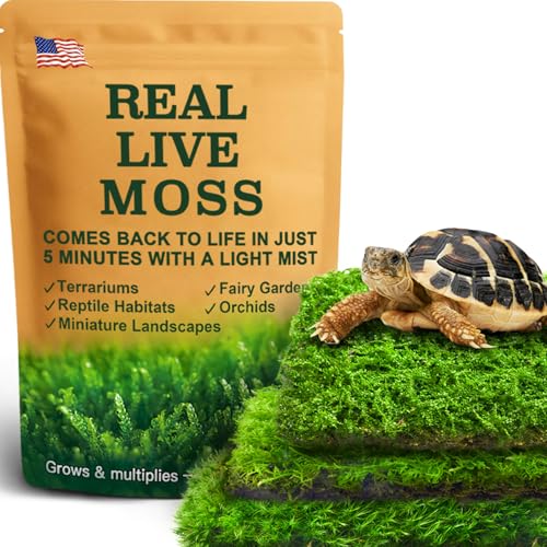 Live Moss 3-Pack for Reptile Enclosures & Terrariums,Fresh Reptiles Substrate | Mixed Varieties, Moisture-Holding Layer, Humid Hide Accent, Forest-Floor Look, Easy to Trim, For Geckos, Turtles, Snakes