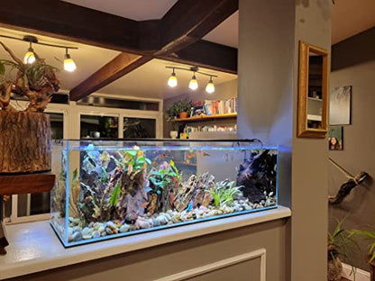 Lifegard Aquatics Bookshelf Aquarium – 22 Gallon Clear Glass Fish Tank with 8mm Thick Glass – for Freshwater/Marine, Leak-Proof, Home/Office Decor - size: 22 Gallons