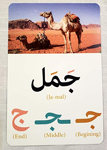 Animals Alphabet in Arabic Flash cards