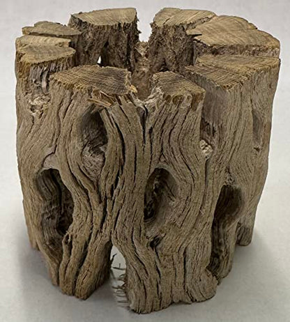 3 Natural Cholla Wood Air Plant Display Holders Individually Unique Round Decorative Stands (3 Pack Cholla Rounds) - style: 3 Pack Cholla Rounds