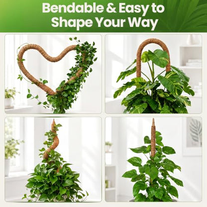 K-Brands 48'' Bendable Moss Pole Monstera Plant Support - Coconut Palm Fiber - Brown - Rectangular - Climbing Plant Support Structure - size: 1-Pack (48 in)