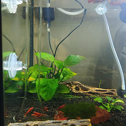 Ailindany 300mm Fish Feeder Tube Aquarium Clear Glass Feeder Tube for Fish Tank Shrimp Feeding with 2pcs Suction Cups