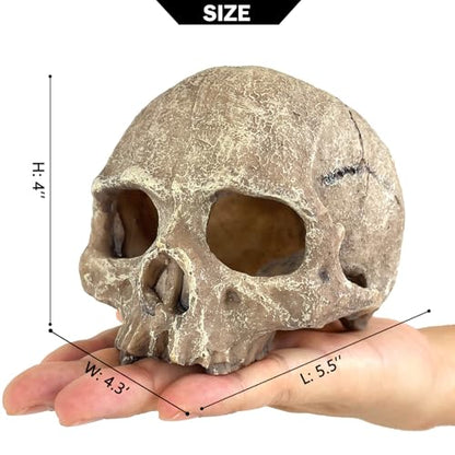 Aquarium Decoration for Fish Tank Skull Head Rock Cave-Small | Fish Tank Ornament Decorative Hideouts Landscape Aquarium Decor Reptile House Cave Aquarium Decoration