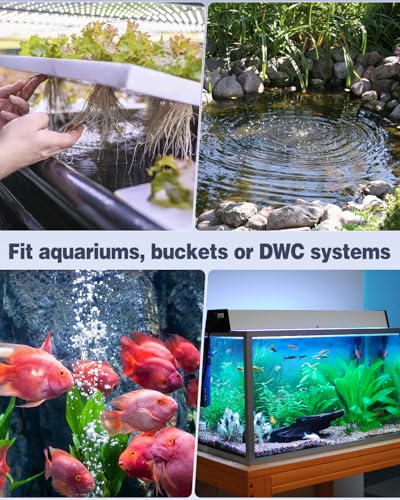 Uniclife Aquarium Air Pump Dual Outlet Fish Tank Aerator with Accessories for 5-200 Gallon Tank - style: Up to 5 Gallons