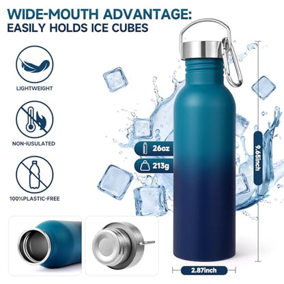 Volhoply 26oz Uninsulated Single Walled Water Bottle, Stainless Steel Reusable Water Bottles with Handle & Carabiner, BPA Free Wide Mouth Water Bottles for Gym Sports Camping（Dark Night,1） - color: Dark Night